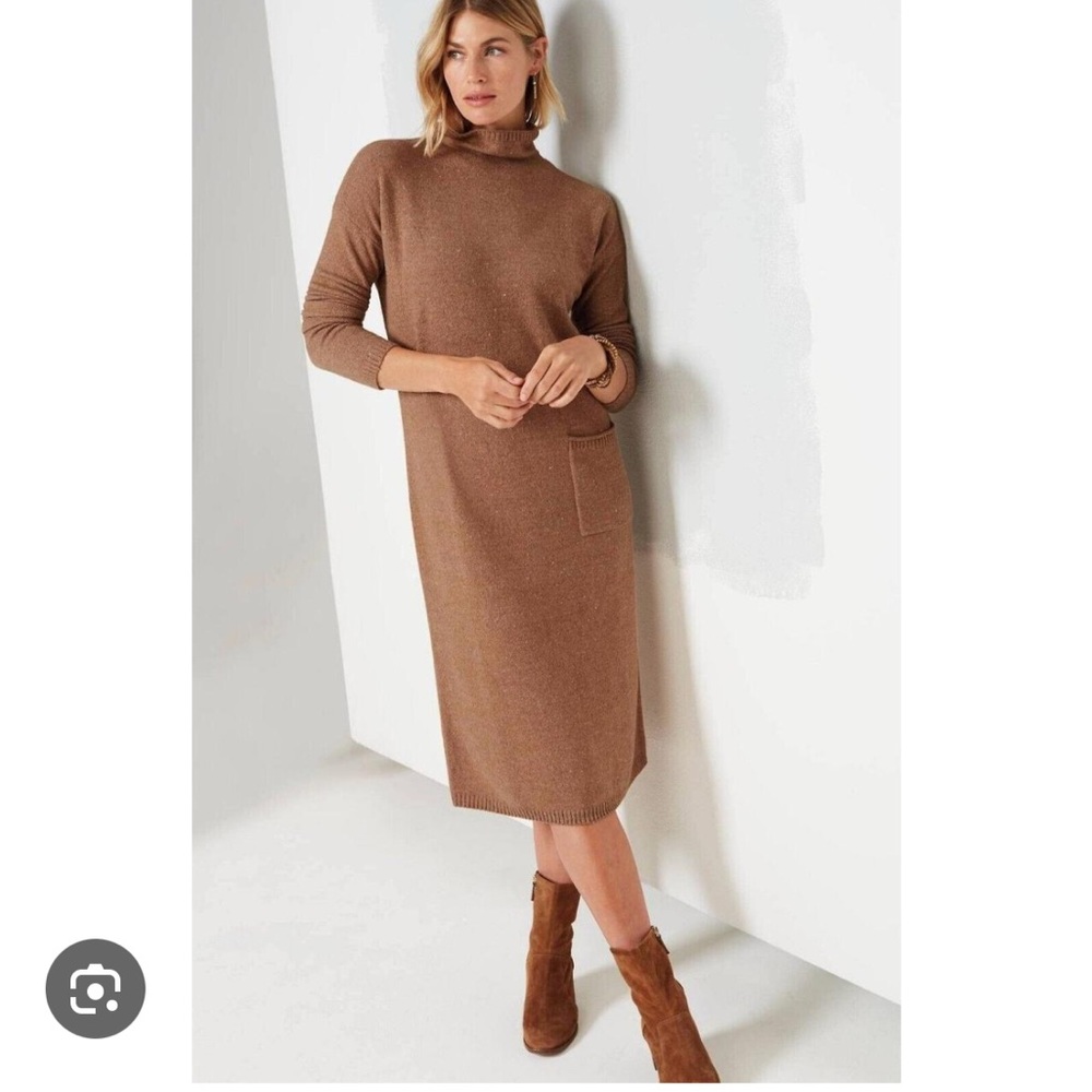 J. Jill Brown Long Sleeve Turtleneck Dress